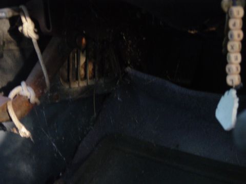 1979 Ford Bronco - Interior view of a vehicle's dashboard area, obscured by darkness and cobwebs.
