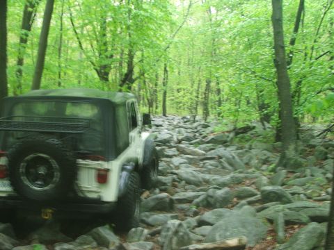 1996 Ford Bronco - Jeep Wrangler navigating a challenging rocky path through a dense forest with lush green trees.