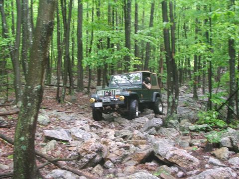 1996 Ford Bronco - A green Jeep Wrangler drives over a rocky path in a dense forest.