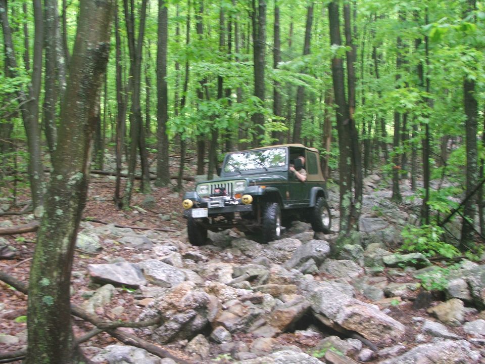 Green Jeep Wrangler navigating a rocky forest trail