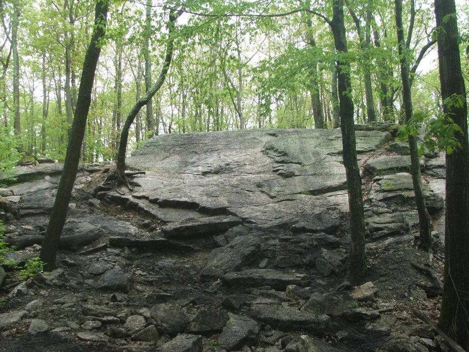 Rocky hillside with trees and foliage
