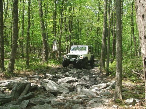 1996 Ford Bronco - White Jeep Wrangler navigates a challenging rocky path through a dense forest.