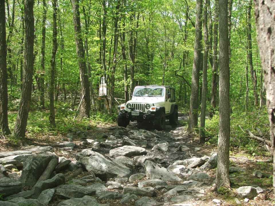 White Jeep Wrangler driving on a rocky, wooded trail. License plate visible