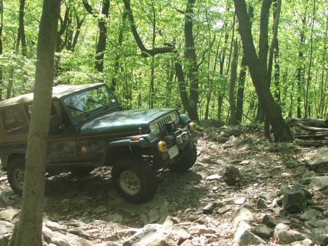1996 Ford Bronco - A green Jeep Wrangler navigates a challenging, rocky path through a dense forest.