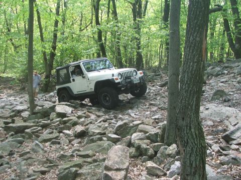 1996 Ford Bronco - A white Jeep Wrangler navigates a rocky path through a dense forest.
