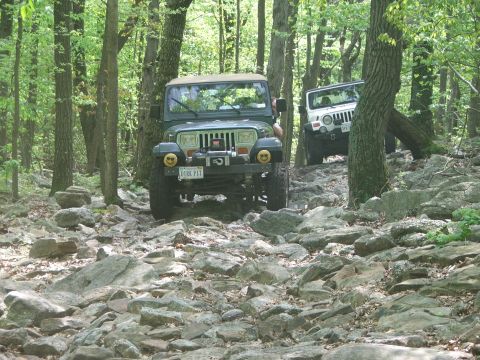 1996 Ford Bronco - Two Jeeps navigate a challenging, rocky trail through a dense forest.