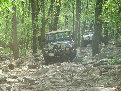 1996 Ford Bronco - Two Jeep Wranglers navigate a challenging, rocky trail through a dense forest.