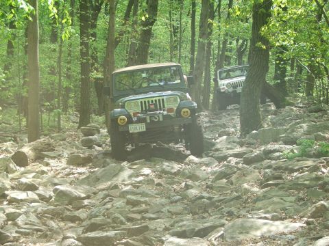 1996 Ford Bronco - Two Jeeps navigate a challenging, rocky off-road trail through a dense forest.