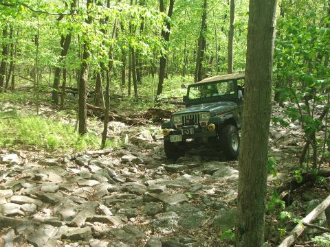 1996 Ford Bronco - Jeep Wrangler navigating a challenging rocky path through a dense forest.