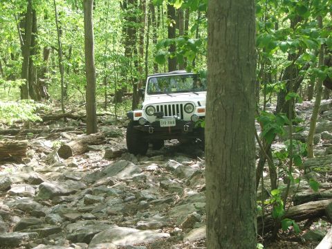 1996 Ford Bronco - A white Jeep Wrangler navigates a challenging, rocky path through a dense forest.