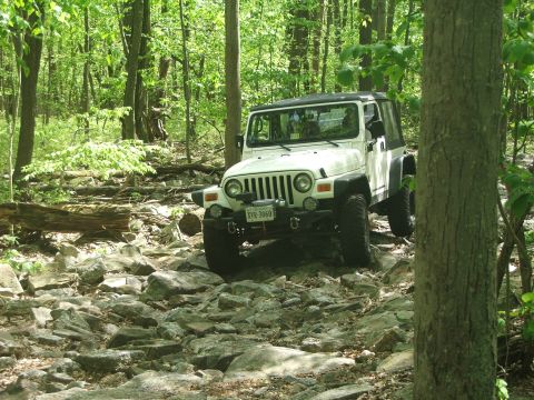 1996 Ford Bronco - A white Jeep Wrangler navigates a challenging rocky path through a dense forest.