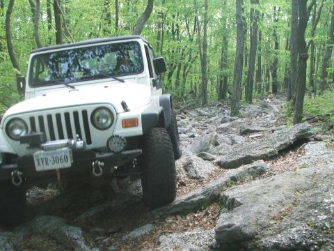 1996 Ford Bronco - White Jeep Wrangler navigating a challenging rocky path through a dense forest.
