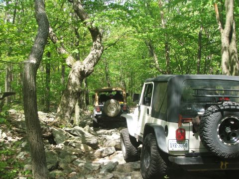 1996 Ford Bronco - Two Jeep Wranglers navigate a challenging rocky path through a dense forest on a sunny day.