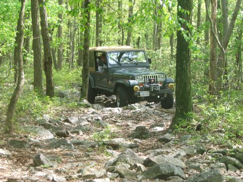 1996 Ford Bronco - A green Jeep Wrangler navigates a rocky path through a wooded area.