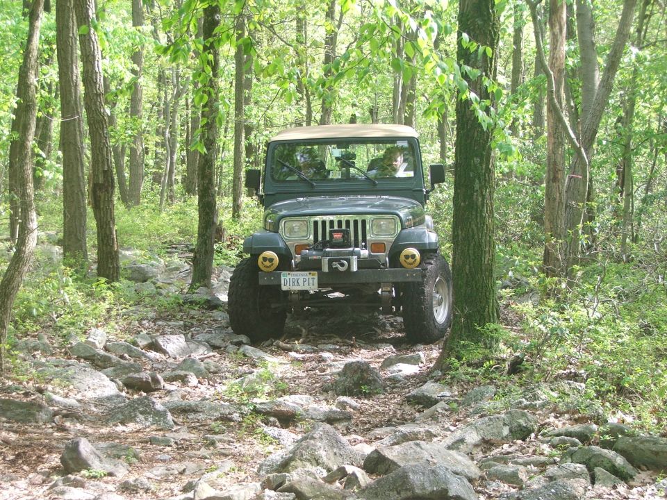 Green Jeep Wrangler with tan top on a rocky forest trail. License plate reads 'DIRK PIT'