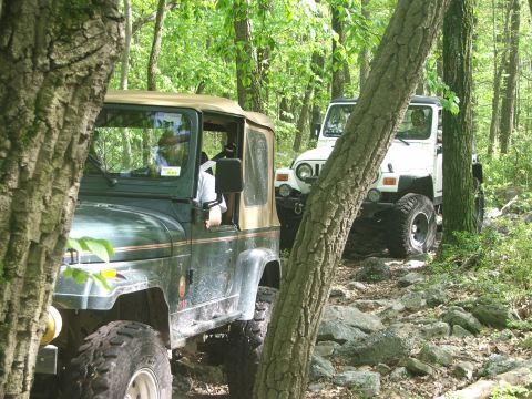 1996 Ford Bronco - Off-road vehicles traverse a wooded path strewn with rocks.