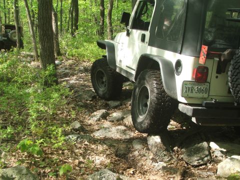 1996 Ford Bronco - A white Jeep Wrangler tackles a challenging rocky path in a wooded area, with another vehicle visible in the background.