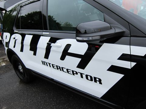 1991 Ford LTD Crown Victoria - Close-up of a black-and-white SUV door bearing large POLICE INTERCEPTOR graphics and a side mirror with turn signal.