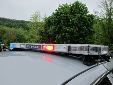 1991 Ford LTD Crown Victoria - roof-mounted police lightbar labeled STATE POLICE with a red segment illuminated, set against green trees.
