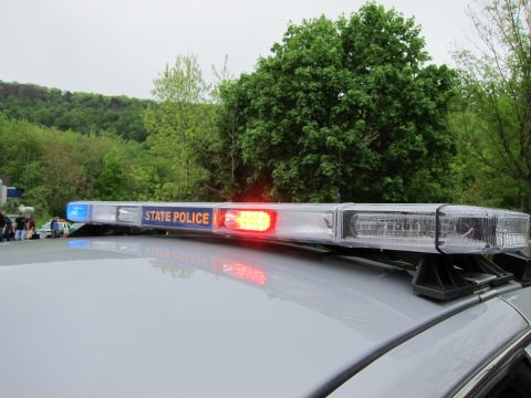 1991 Ford LTD Crown Victoria - car-roof emergency lightbar marked STATE POLICE with a lit red lamp, photographed against a wooded hillside.