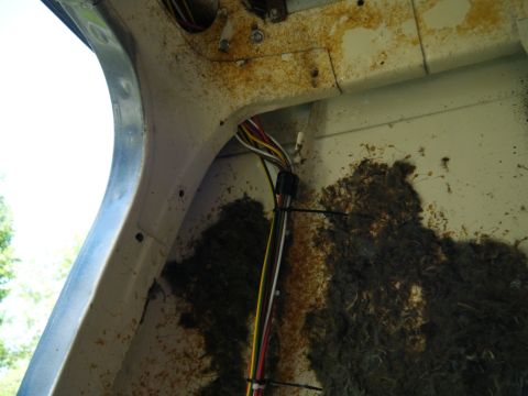 1981 Ford E350 - Wiring and debris are visible inside the body of a vehicle, showing signs of wear and tear.