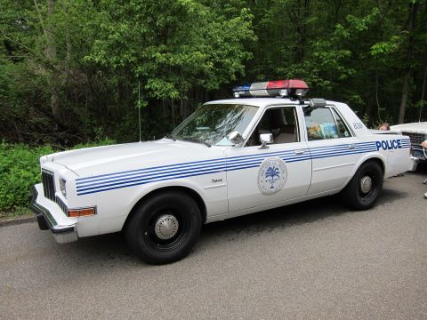1991 Ford LTD Crown Victoria - white Dodge Diplomat police sedan with blue stripes, a palm-tree city seal, POLICE lettering, and roof lightbar.