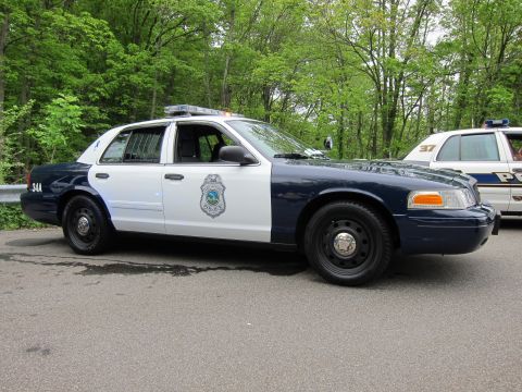 1991 Ford LTD Crown Victoria - blue-and-white Ford Crown Victoria police unit 34A with a department badge decal and roof light bar parked near woods.