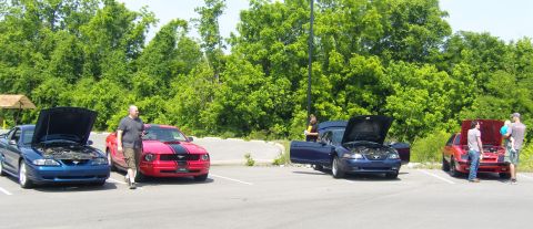 2007 Ford Mustang - A group of Ford Mustangs are gathered in a parking lot on a sunny day.
