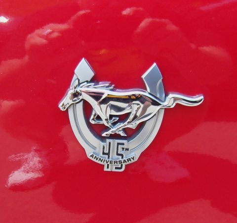 2007 Ford Mustang - A close-up of a Ford Mustang emblem indicates a 45th anniversary model, suggesting a year around 2010.
