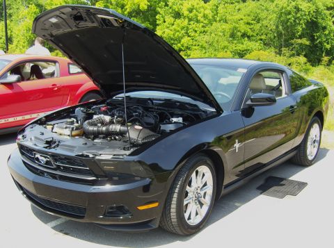 2007 Ford Mustang - Black 2010 Ford Mustang at a meet, hood raised to display the engine bay.