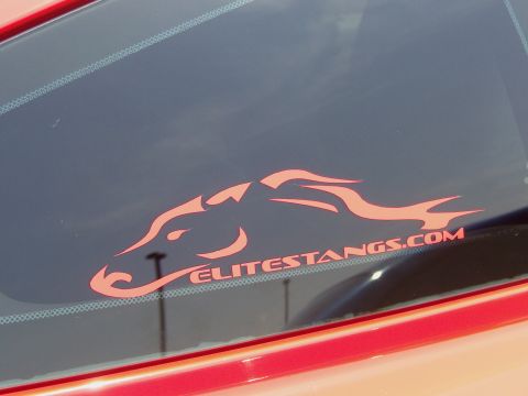 2007 Ford Mustang - A decal a horse head and website address is affixed to the rear window of a red vehicle.
