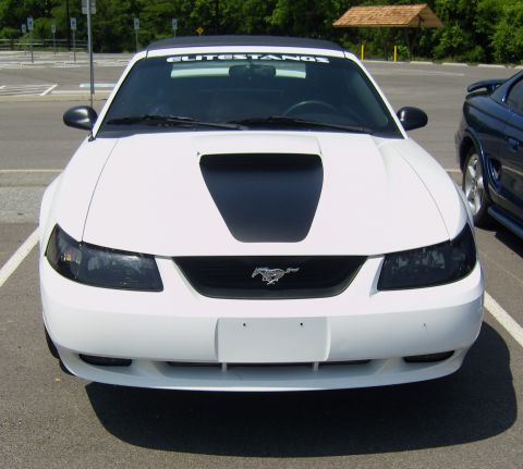 2007 Ford Mustang - White 2007 Ford Mustang convertible with a black hood stripe and 'ELITESTANGS' banner on the windshield.