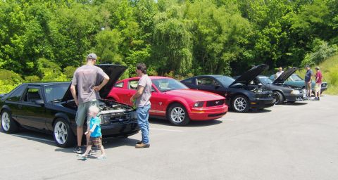 2007 Ford Mustang - Several Ford Mustangs are gathered, with hoods open, at a regional meet.