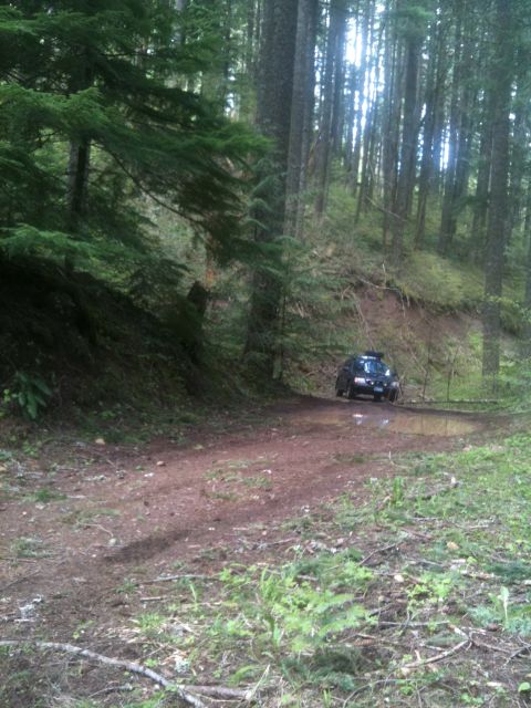 2005 Jeep Wrangler - A dark colored SUV navigates a muddy path surrounded by dense trees.