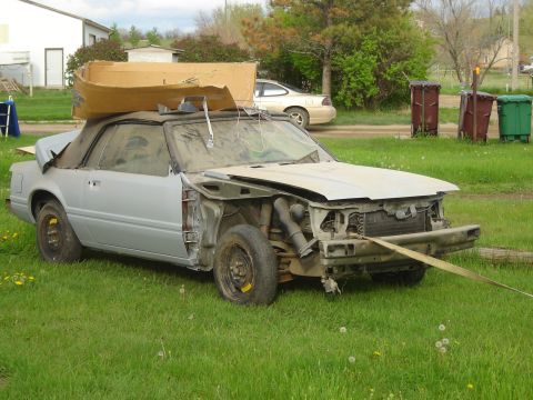 1984 Ford Mustang - when I came home, guess what I caught trying to sneak into my therapy room?