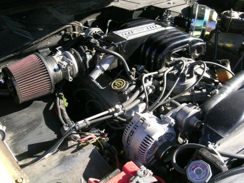 1966 Ford Bronco - Close-up view of a V8 engine, showing the intake manifold, air filter, and alternator.