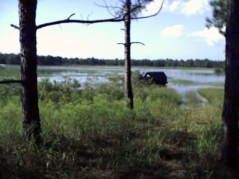 1991 Ford Bronco - This is in a lake, same day but not Citrus.