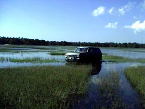 1991 Ford Bronco - 1991 Ford Bronco navigates a flooded grassy area under a blue sky with scattered clouds.