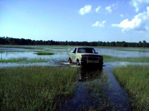 1991 Ford Bronco - This Ford Bronco appears to be from the early 1990s, possibly a 1992 model, navigating through a shallow, waterlogged field.
