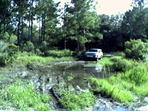 1991 Ford Bronco - A white SUV drives through a muddy path surrounded by trees and vegetation.