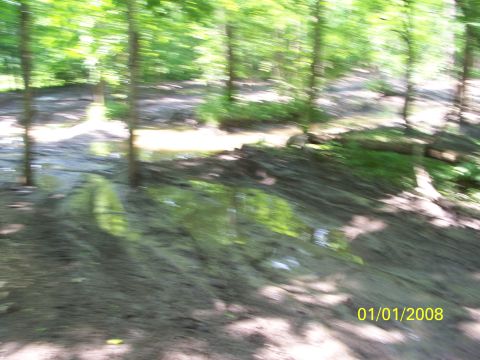 1989 Ford Bronco - A muddy trail winds through a wooded area with several puddles reflecting the trees.