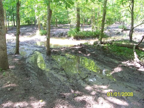 1989 Ford Bronco - Tire tracks mark a path through a muddy, wooded area with a small stream.