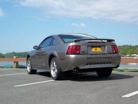 2002 Ford Mustang - A gray 2002 Ford Mustang GT is parked in a lot with a body of water in the background.