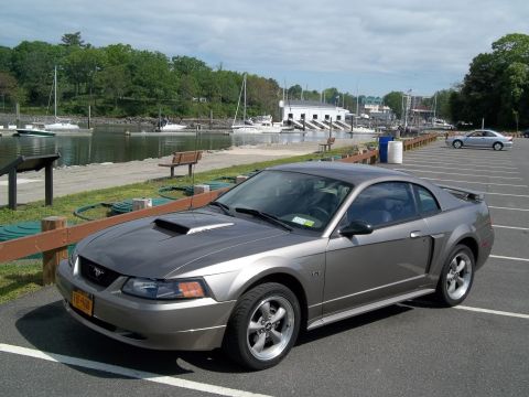 2002 Ford Mustang - A gray 2002 Ford Mustang GT is parked in a lot with boats in the background.