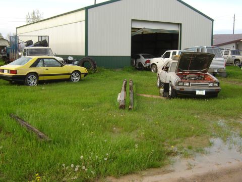 1984 Ford Mustang - A yellow 1984 Ford Mustang coupe is parked on the grass next to a large building, with other vehicles visible in the background.