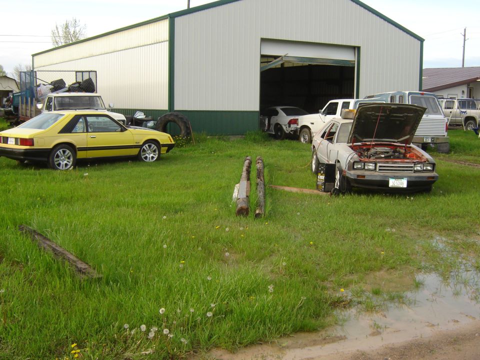 Yellow 1984 Ford Mustang coupe parked on grass