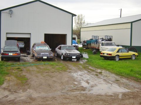 1984 Ford Mustang - A yellow 1984 Ford Mustang coupe is parked on the grass next to a muddy driveway.