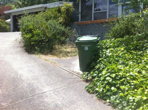 1990 Ford Bronco - A green trash bin is partially obscured by dense foliage next to a residential driveway.