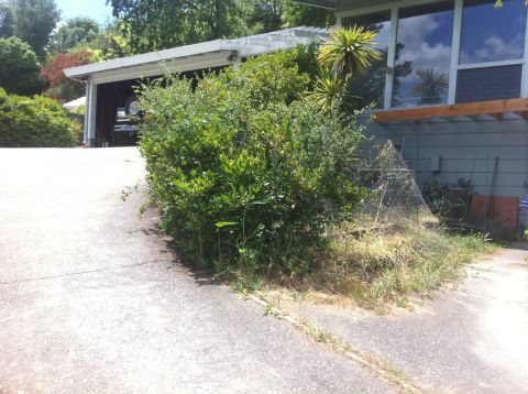 1990 Ford Bronco - A vehicle is partially visible inside a carport, obscured by foliage.