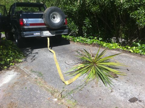 1990 Ford Bronco - Black Ford Bronco with a spare tire mounted on the rear and a yellow tow strap attached to the bumper.